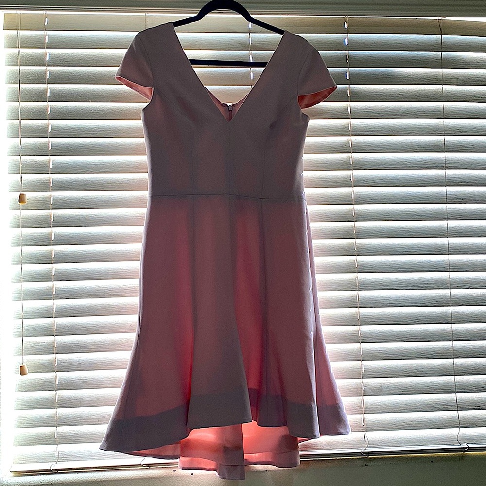 Pink Dress ( Dress the Population) -90% new ( tag removed, wore 2 times only)
